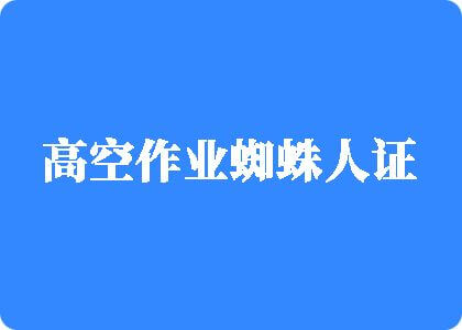 插B毛片高空作业蜘蛛人证